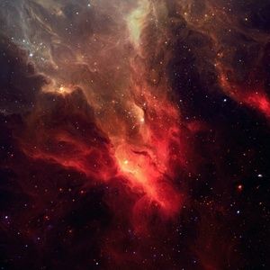 Meet your Posher, Baileigh